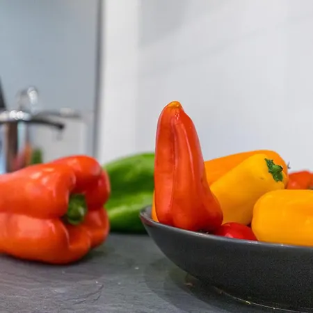 Feel - Foch 28 * ניס